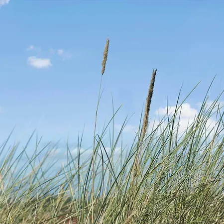 5526-hvide-sande-baunebjergvej-29-a Semesterbostad *